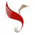 D Travel N Outlet Ltd